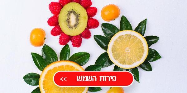 פירות השמש