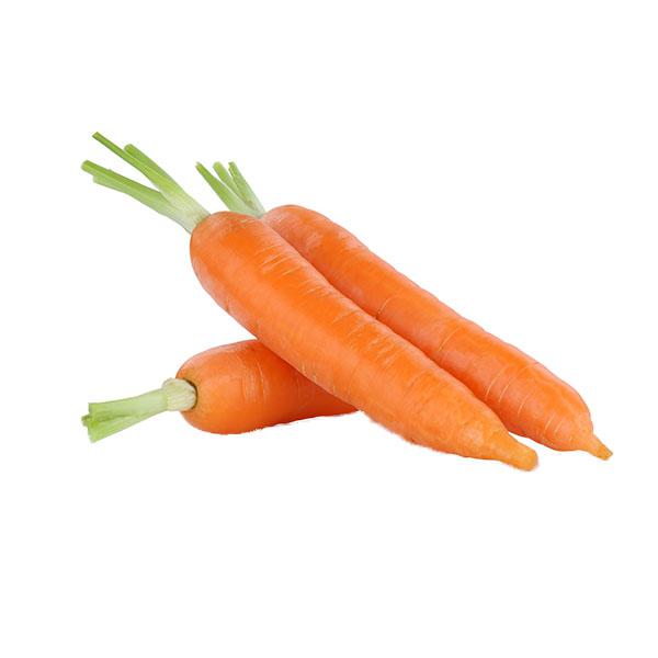 גזר דוד משה 