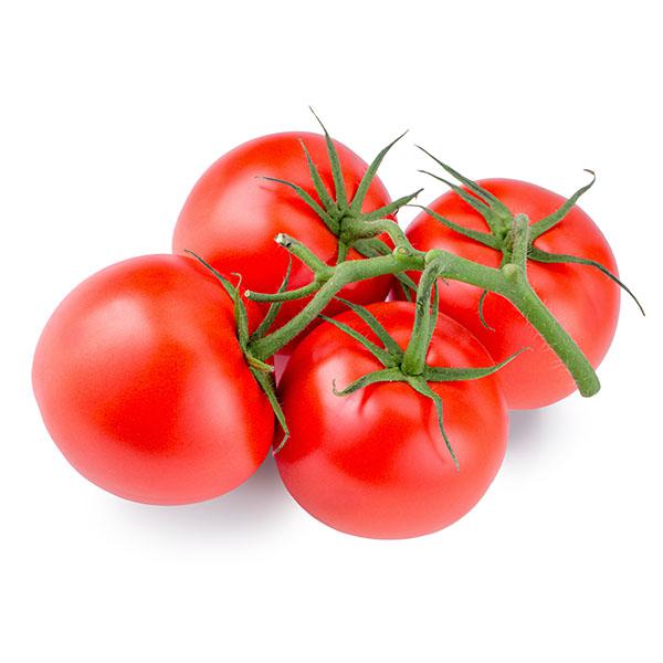 עגבניה אשכולות ישראלית