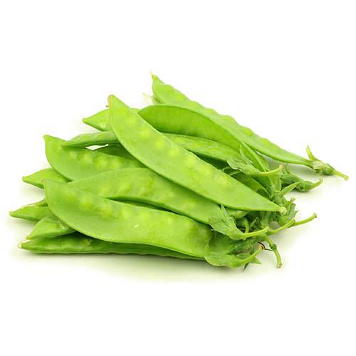 אפונת שלג