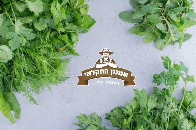 מארז ירוקים